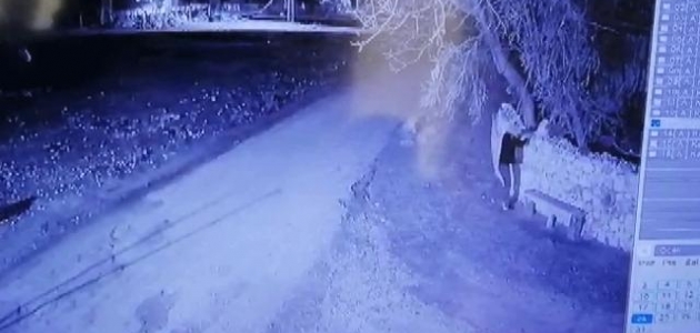 Buzağı hırsızları Gürcistan'a kaçarken yakalandı 