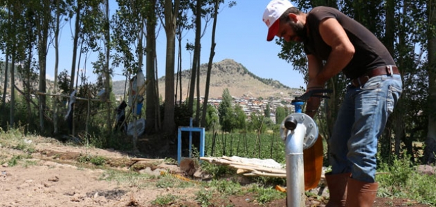 Konya’da tarımsal sulama destekleriyle endemik bitkiler yetişiyor