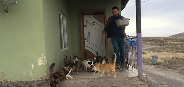 30 kedi besleyen imam: Biz onlara baktıkça huzur bulduk 