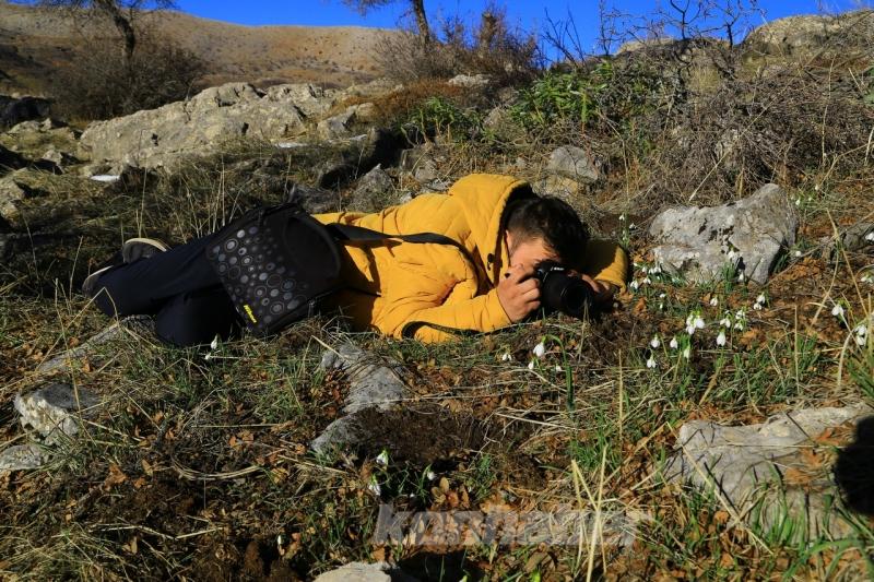 Orta Toroslarda kardelenler kara hasret çiçek açtı