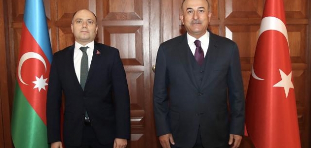 Bakan Çavuşoğlu, Azerbaycan Kültür Bakanı Kerimov ile görüştü