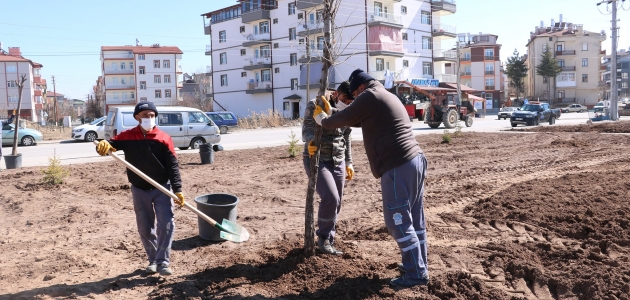 Beyşehir Belediyesi ağaçlandırma çalışmalarına hız verdi