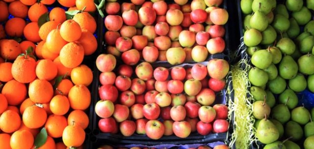 İlk 2 ayda 528 milyon dolarlık meyve sebze ihracatı yapıldı 