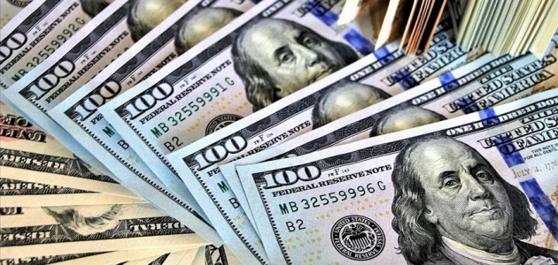Merkez Bankası rezervleri 93 milyar 161 milyon dolar oldu