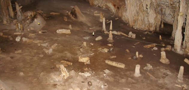 En az 35 bin yıllık: Avustralya'da kanguru kemiğinden aletler tespit edildi