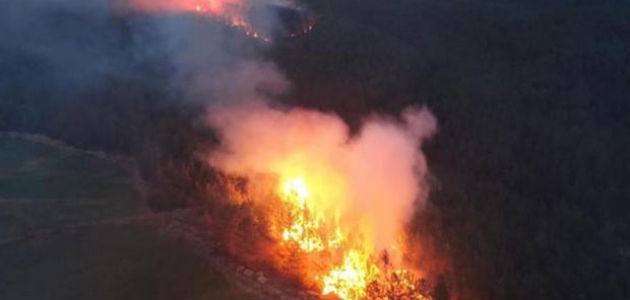Muğla’daki orman yangınlarına ’sabotaj’ soruşturması
