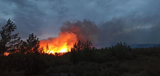  Muğla'nın Menteşe ve Kavaklıdere ilçelerinde çıkan orman yangınları söndürüldü