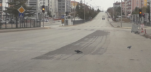Kulu’da caddeler güvercinlere kaldı
