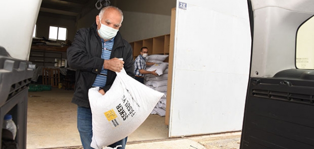 Büyükşehir’den çiftçiye yerli şeker fasulye tohumu desteği