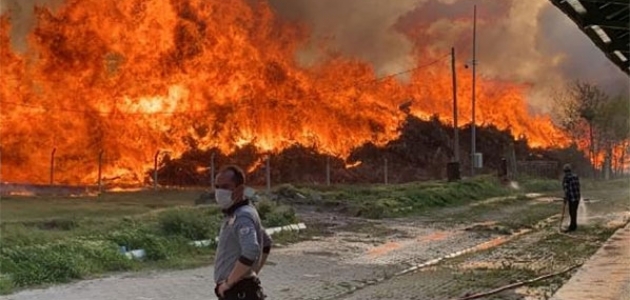 Afyonkarahisar’da biyokütle enerji santralinde yangın çıktı
