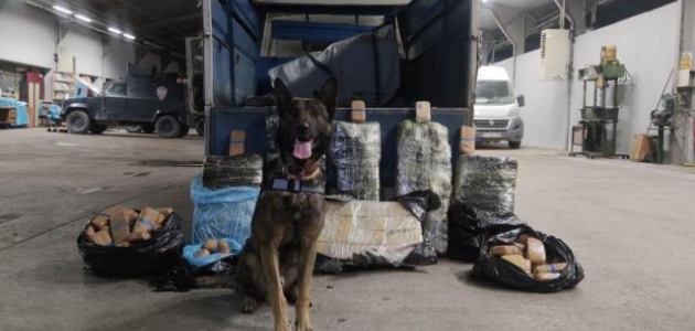 Narkotik köpeği ’Rexo’ sayesinde 216 kilo uyuşturucu ele geçirildi