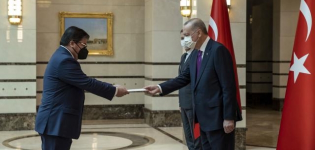 Büyükelçiler Cumhurbaşkanı Erdoğan'a güven mektubu sundu
