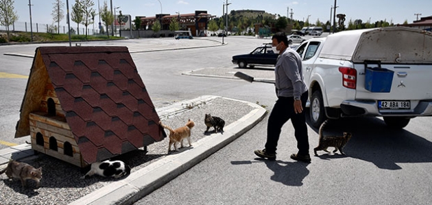 Tam kapanma döneminde de sokak hayvanları unutulmadı