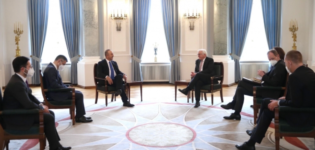 Bakan Çavuşoğlu,  Almanya Cumhurbaşkanı ile görüştü