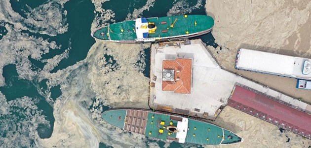 Marmara Denizi'nin dibi de salya ile kaplanmaya başladı