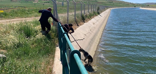 Sulama kanalına düşen köpeği itfaiye kurtardı 