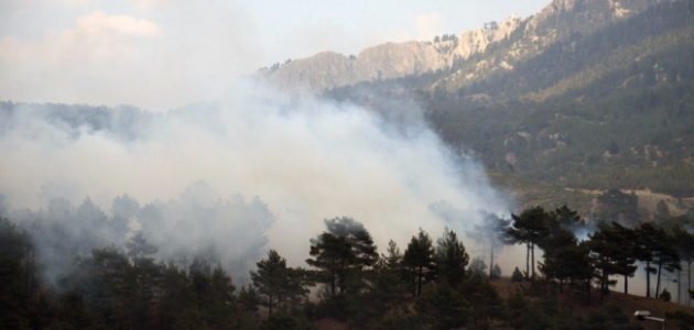 Adana’da orman yangını: 1 kişi yakalandı