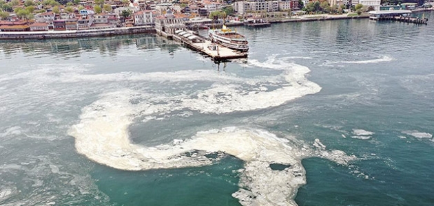 Bilim insanları müsilaj oluşumunun Marmara Denizi’ne etkilerini araştırıyor