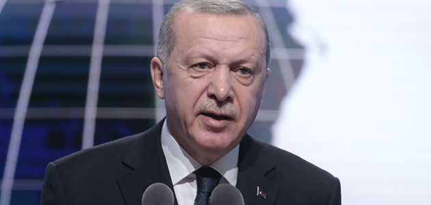 Erdoğan’dan 'Hayvan Hakları Yasası' çalışmalarında süreci hızlandırma talimatı 