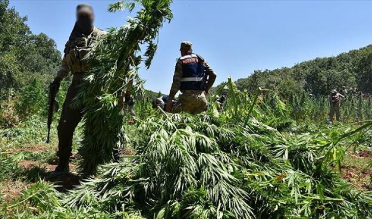 PKK’nın finans kaynağına darbe: 5,2 milyar liralık uyuşturucu ele geçirildi