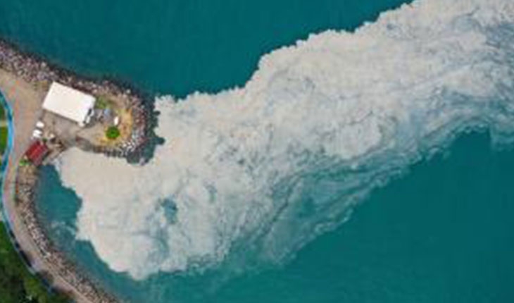 Bakan Kurum: Müsilajın tehlikeli atık olmadığını tespit ettik