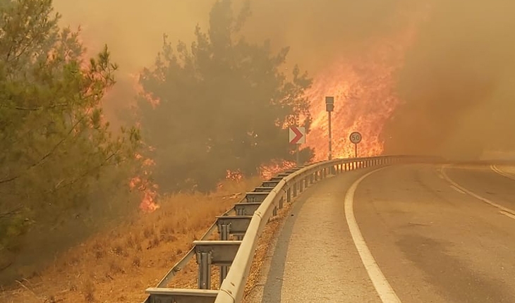 Manavgat-Konya yolu üzerinde orman yangını