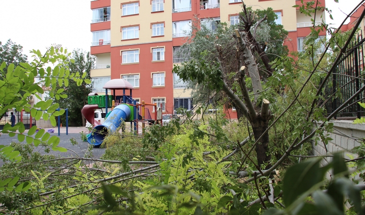 Konya’da bir sitenin bahçesindeki ağaçların kesilmesi tepki çekti