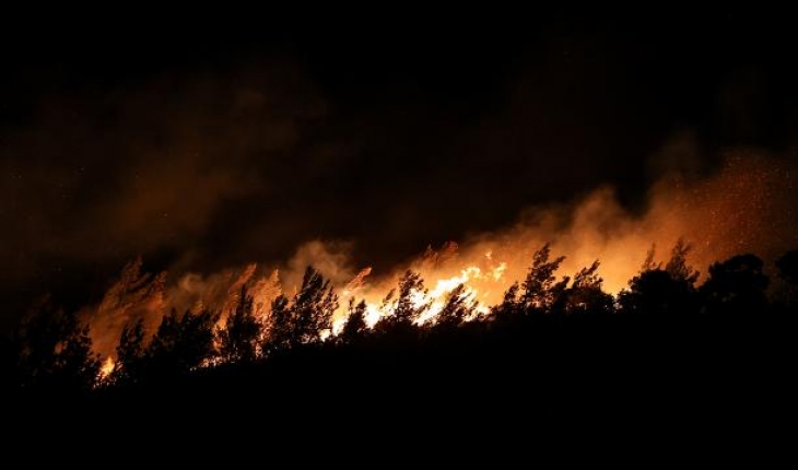 Foça'daki yangına çocukların neden olduğu açıklandı