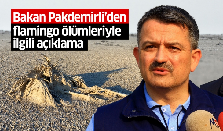 Bakan Pakdemirli: Bin kadar flamingo öldü, zehirlenme yok