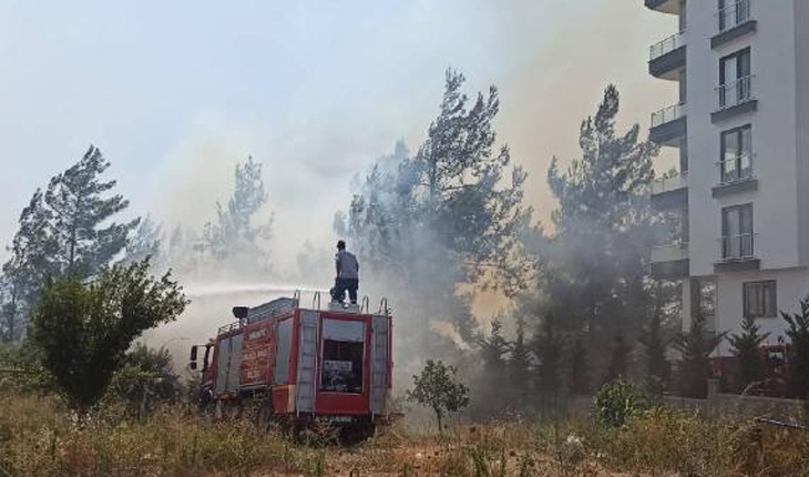 Osmaniye’deki orman yangınında 4 gözaltı