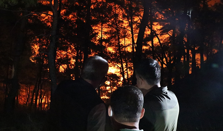Mersin'de orman yangını nedeniyle 50 ev tahliye edildi