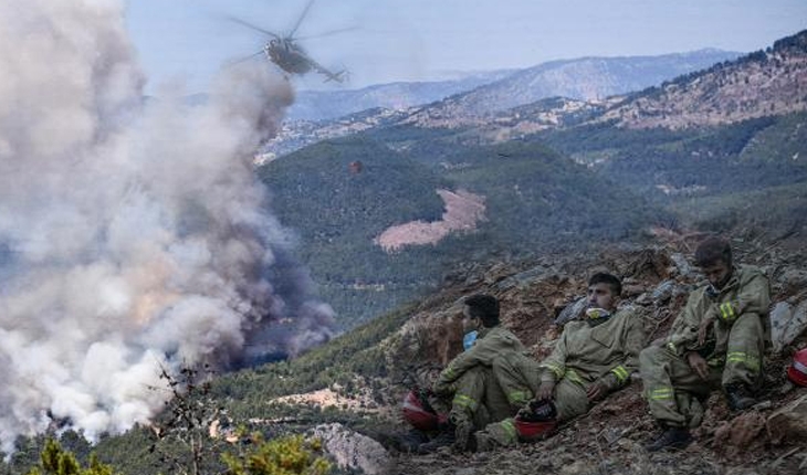 Mersin ve Hatay’da çıkan orman yangınları kontrol altında: 4 gözaltı