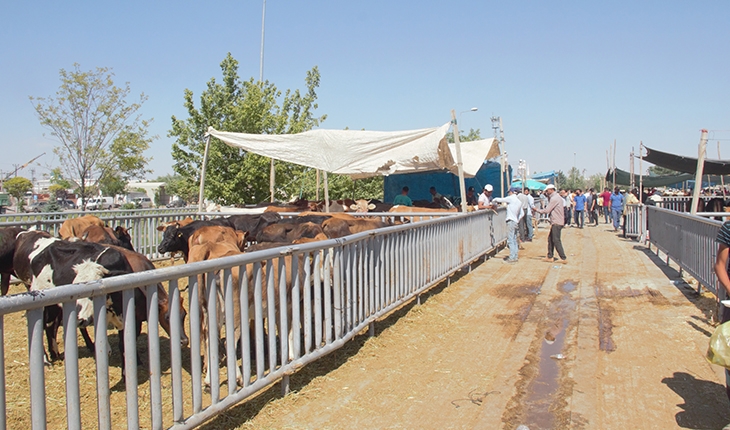 Konya’da Kurban Bayramı arifesinde pazarlarda sakinlik