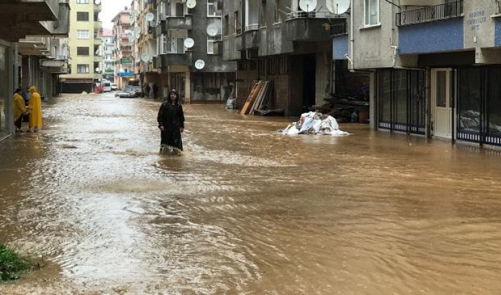 Artvin'de sağanak: 2 mahalleyi su bastı