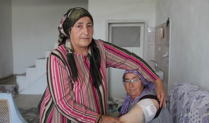 Bahçede domates toplayan anne ve kızına köpek saldırdı