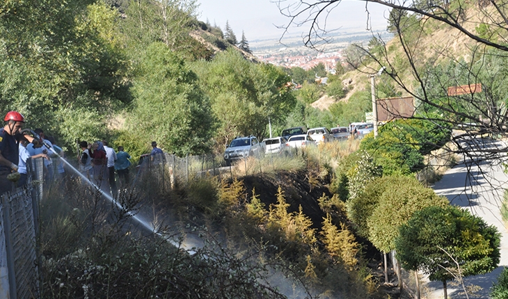 Akşehir'de bu kez piknik alanında yangın çıktı!