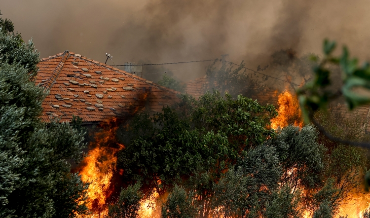 Ülke genelindeki 98 orman yangınının 88’i kontrol altına alındı