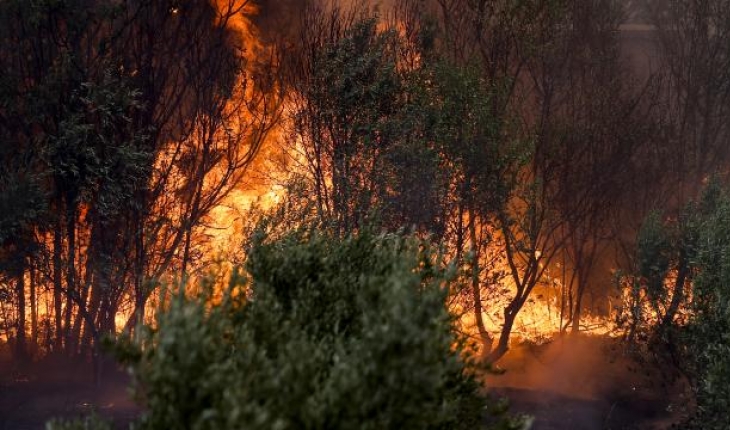 Manavgat’taki orman yangınında hasar gören evde çiftin cansız bedenleri bulundu
