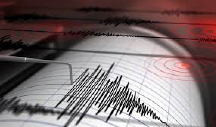 Muğla’da 4.0 şiddetinde deprem!