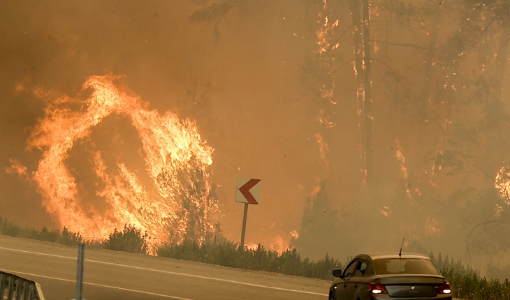 174 orman yangınının 160’ı kontrol altına alındı
