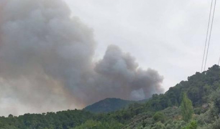 Aydın Çine’de orman yangını: İki mahalle tahliye edildi