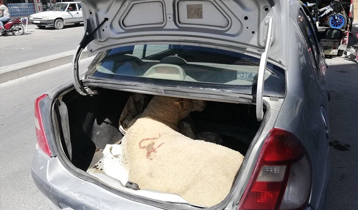 Otomobilin bagajında havasız kalan koçu vatandaşlar kurtardı