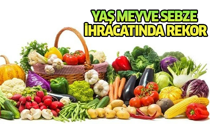 Yaş meyve sebze ihracatında rekor