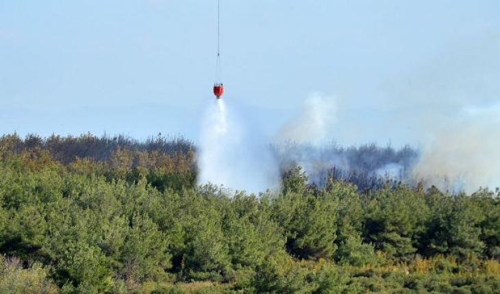15 günde 285 orman yangını kontrol altına alındı