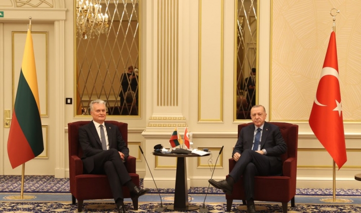 Cumhurbaşkanı Erdoğan Litvanya Cumhurbaşkanı ile görüştü
