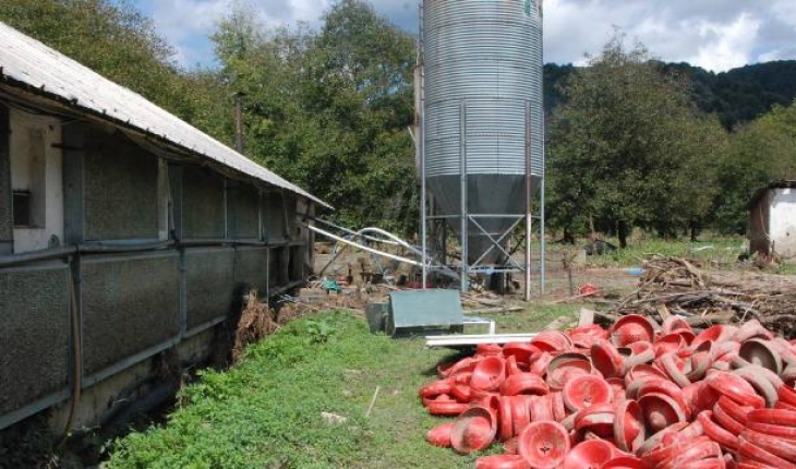 Bartın'da selde 24 bin tavuk telef oldu