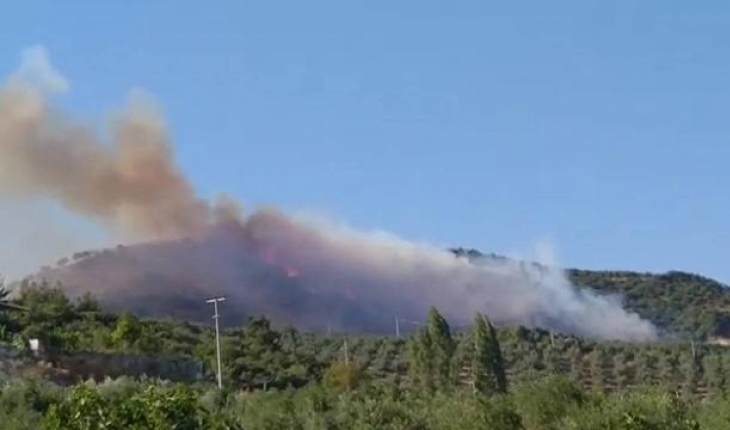 Bursa’da orman yangını: Havadan ve karadan müdahale ediliyor