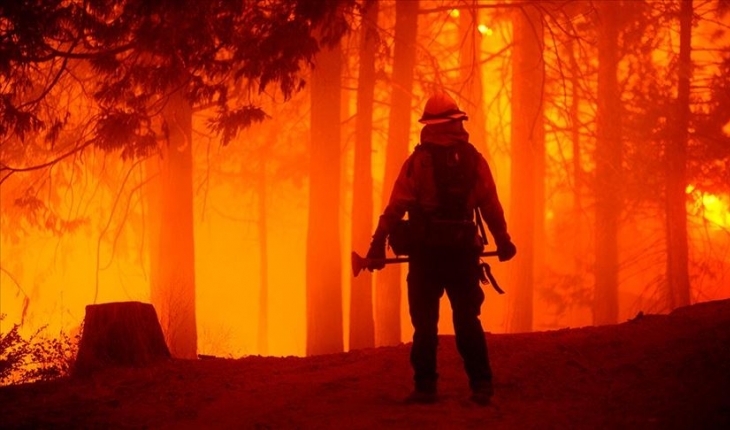 California’daki orman yangınları için 