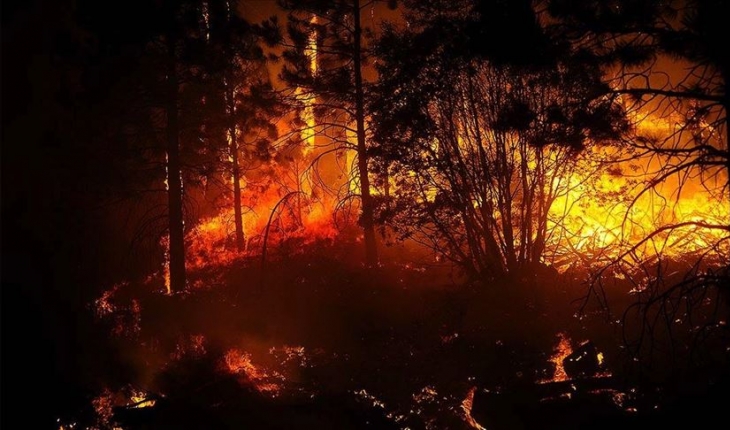 California’da günlerdir süren orman yangını Tahoe Gölü’ne yaklaştı