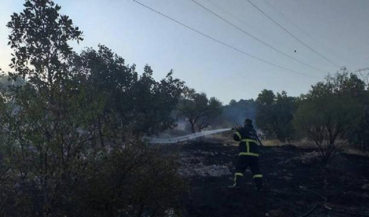 Mardin’de ormanlık alanda çıkan yangın söndürüldü